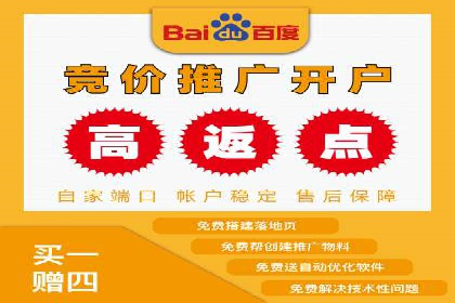 百度竞价广告投放策略：案例分析及优化建议